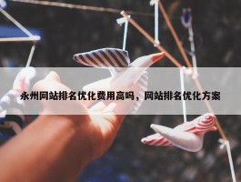 永州网站排名优化费用高吗，网站排名优化方案