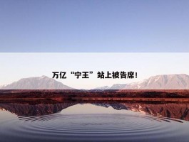 万亿“宁王”站上被告席！