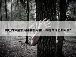 狗吐白沫是怎么回事怎么治疗 狗吐白沫怎么回事?