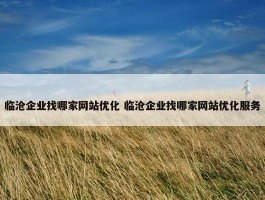 临沧企业找哪家网站优化 临沧企业找哪家网站优化服务