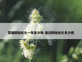 楚雄网站优化一年多少钱 宿迁网站优化多少钱