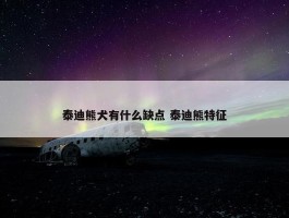 泰迪熊犬有什么缺点 泰迪熊特征