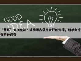 “草环”如何克制？辅助阿古朵是较好的选择，射手考虑伽罗孙尚香