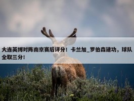 大连英博对阵南京赛后评分！卡兰加_罗伯森建功，球队全取三分！