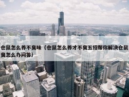 仓鼠怎么养不臭味（仓鼠怎么养才不臭五招帮你解决仓鼠臭怎么办问答）