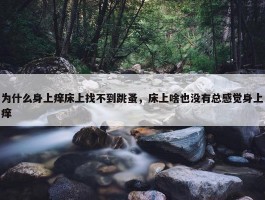 为什么身上痒床上找不到跳蚤，床上啥也没有总感觉身上痒