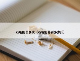 石龟能长多大（石龟能养到多少斤）