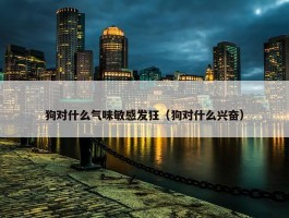 狗对什么气味敏感发狂（狗对什么兴奋）