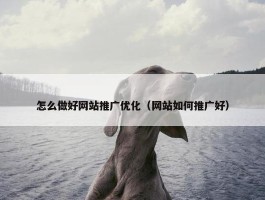 怎么做好网站推广优化（网站如何推广好）