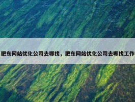 肥东网站优化公司去哪找，肥东网站优化公司去哪找工作