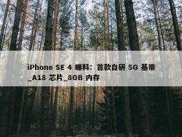 iPhone SE 4 曝料：首款自研 5G 基带_A18 芯片_8GB 内存