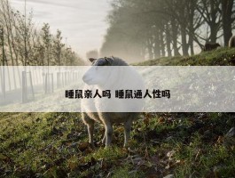 睡鼠亲人吗 睡鼠通人性吗