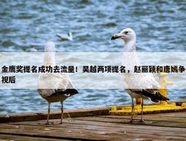 金鹰奖提名成功去流量！吴越两项提名，赵丽颖和唐嫣争视后