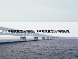 网站优化怎么写简历（网站优化怎么写简历好）