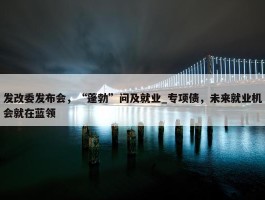 发改委发布会，“蓬勃”问及就业_专项债，未来就业机会就在蓝领