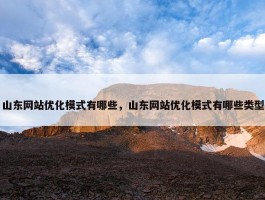 山东网站优化模式有哪些，山东网站优化模式有哪些类型