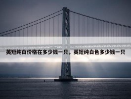 英短纯白价格在多少钱一只，英短纯白色多少钱一只