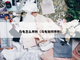 乌龟怎么养熟（乌龟如何养熟）