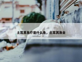 土耳其鱼疗是什么鱼，土耳其渔业