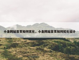 小金网站首页如何优化，小金网站首页如何优化设计