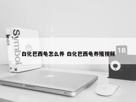 白化巴西龟怎么养 白化巴西龟养殖视频