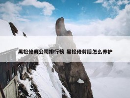 黑松修剪公司排行榜 黑松修剪后怎么养护