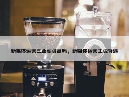 新媒体运营三亚薪资高吗，新媒体运营工资待遇