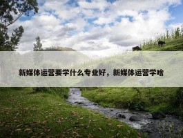 新媒体运营要学什么专业好，新媒体运营学啥