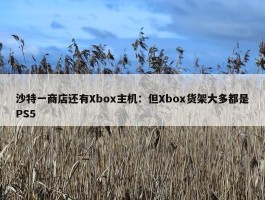 沙特一商店还有Xbox主机：但Xbox货架大多都是PS5