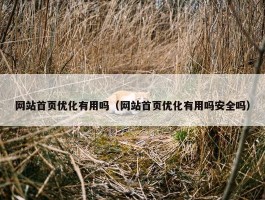 网站首页优化有用吗（网站首页优化有用吗安全吗）