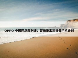 OPPO 中国区总裁刘波：暂无推出三折叠手机计划