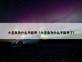 小丑鱼为什么不能养（小丑鱼为什么不能养了）