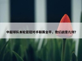 中超球队本轮亚冠对手联赛全平，他们战意几何？