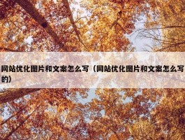 网站优化图片和文案怎么写（网站优化图片和文案怎么写的）