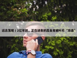 远古发现丨2亿年前，正在进食的昆虫竟被叶片“攻击”