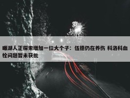 曝湖人正探索增加一位大个子：伍德仍在养伤 科洛科血栓问题暂未获批