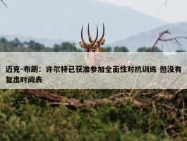 迈克-布朗：许尔特已获准参加全面性对抗训练 但没有复出时间表