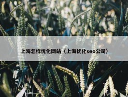 上海怎样优化网站（上海优化seo公司）