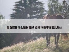 做自媒体什么题材更好 自媒体做哪方面比较火