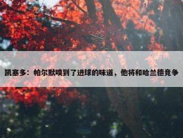 凯塞多：帕尔默嗅到了进球的味道，他将和哈兰德竞争