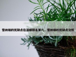 雪纳瑞的优缺点在温顺排名第几，雪纳瑞的优缺点分析