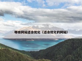 哪些网站适合优化（适合优化的网站）