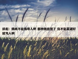 邱彪：杨鸣不能侮辱人啊 都种族歧视了 你不能英语好就骂人啊