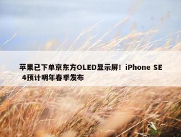 苹果已下单京东方OLED显示屏！iPhone SE 4预计明年春季发布