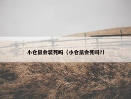 小仓鼠会装死吗（小仓鼠会死吗?）