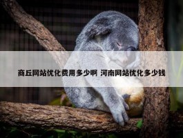 商丘网站优化费用多少啊 河南网站优化多少钱