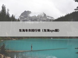 东海车衣排行榜（东海sps膜）