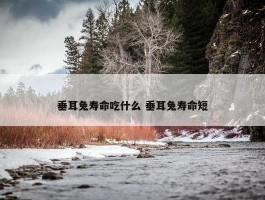 垂耳兔寿命吃什么 垂耳兔寿命短