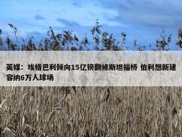 英媒：埃格巴利倾向15亿镑翻修斯坦福桥 伯利想新建容纳6万人球场