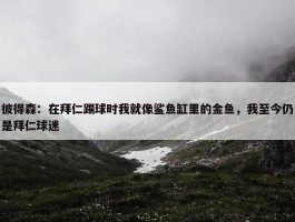 彼得森：在拜仁踢球时我就像鲨鱼缸里的金鱼，我至今仍是拜仁球迷